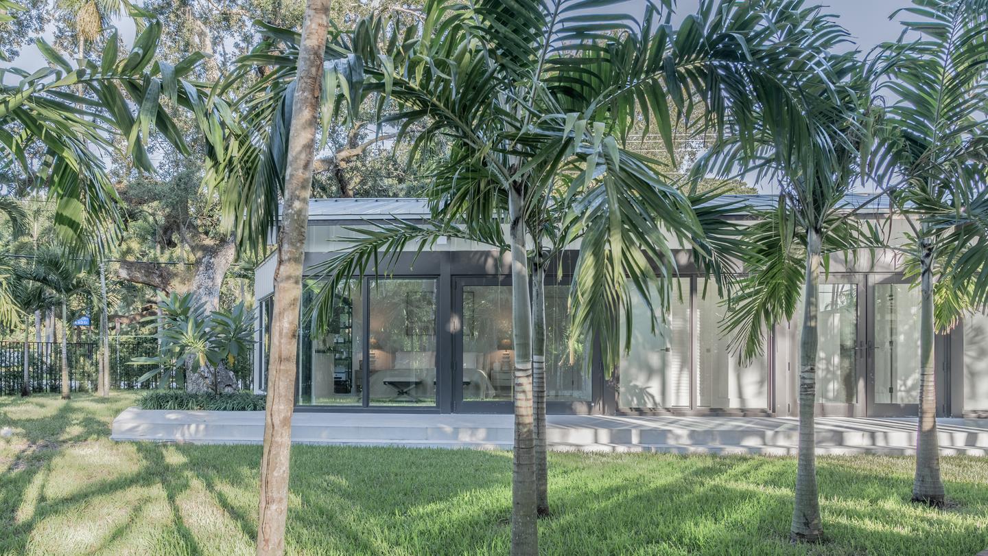 Rear elevation through tropical palms
