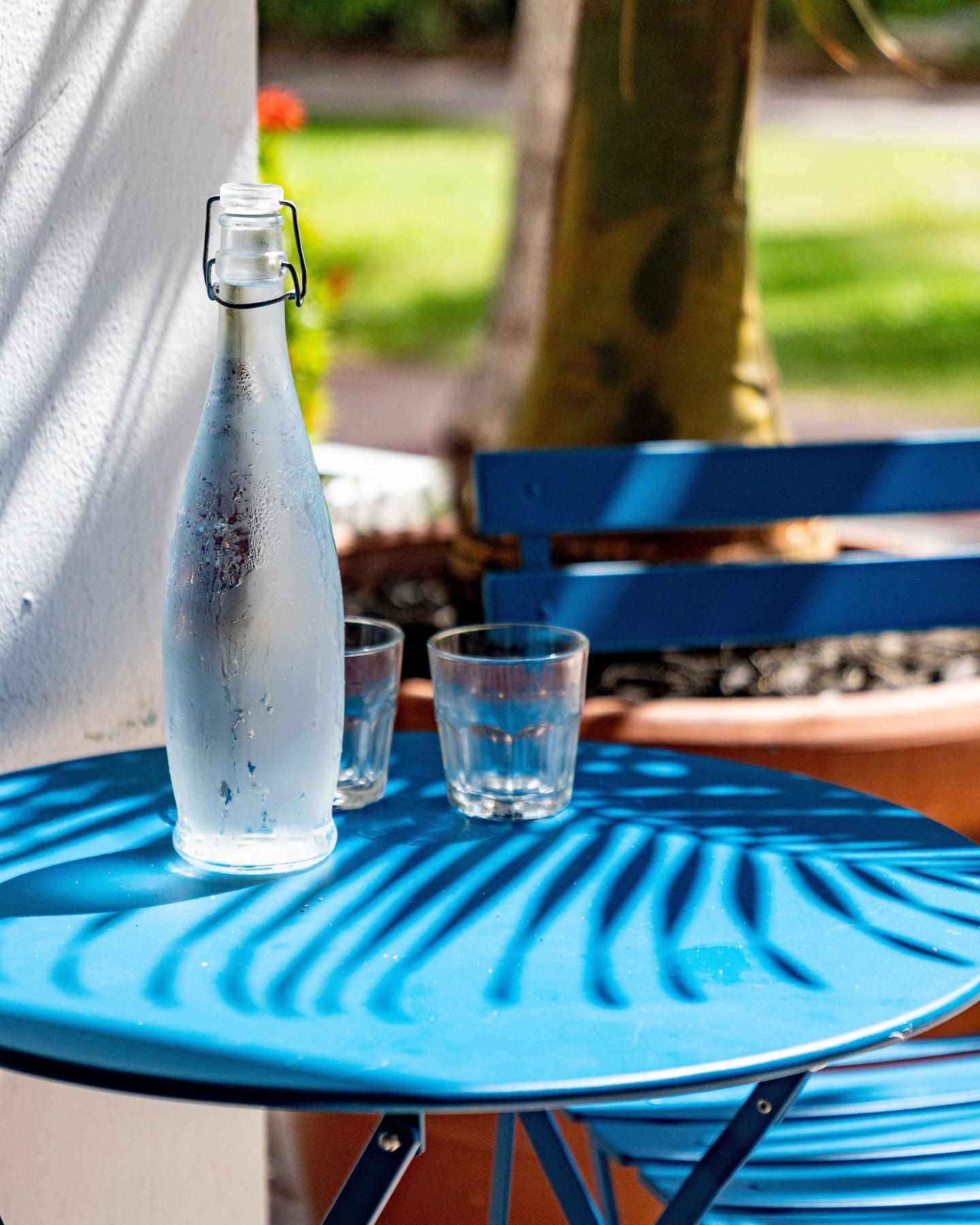 Garden bistro detail with frosted bottle and tumblers