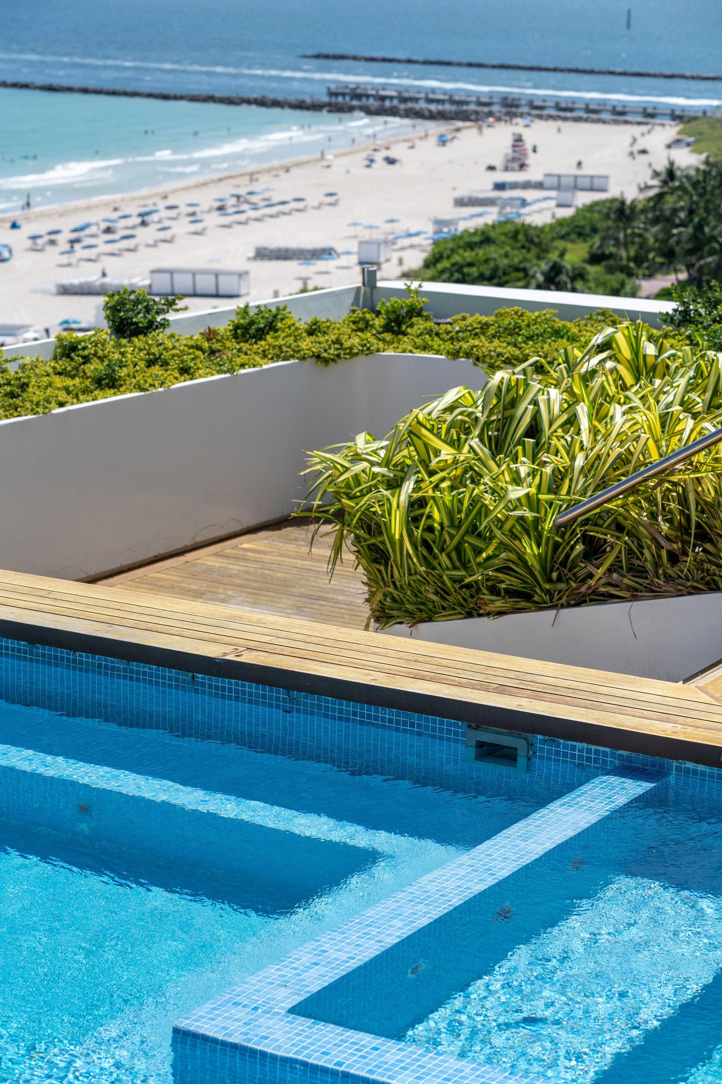Rooftop infinity pool with ocean panorama