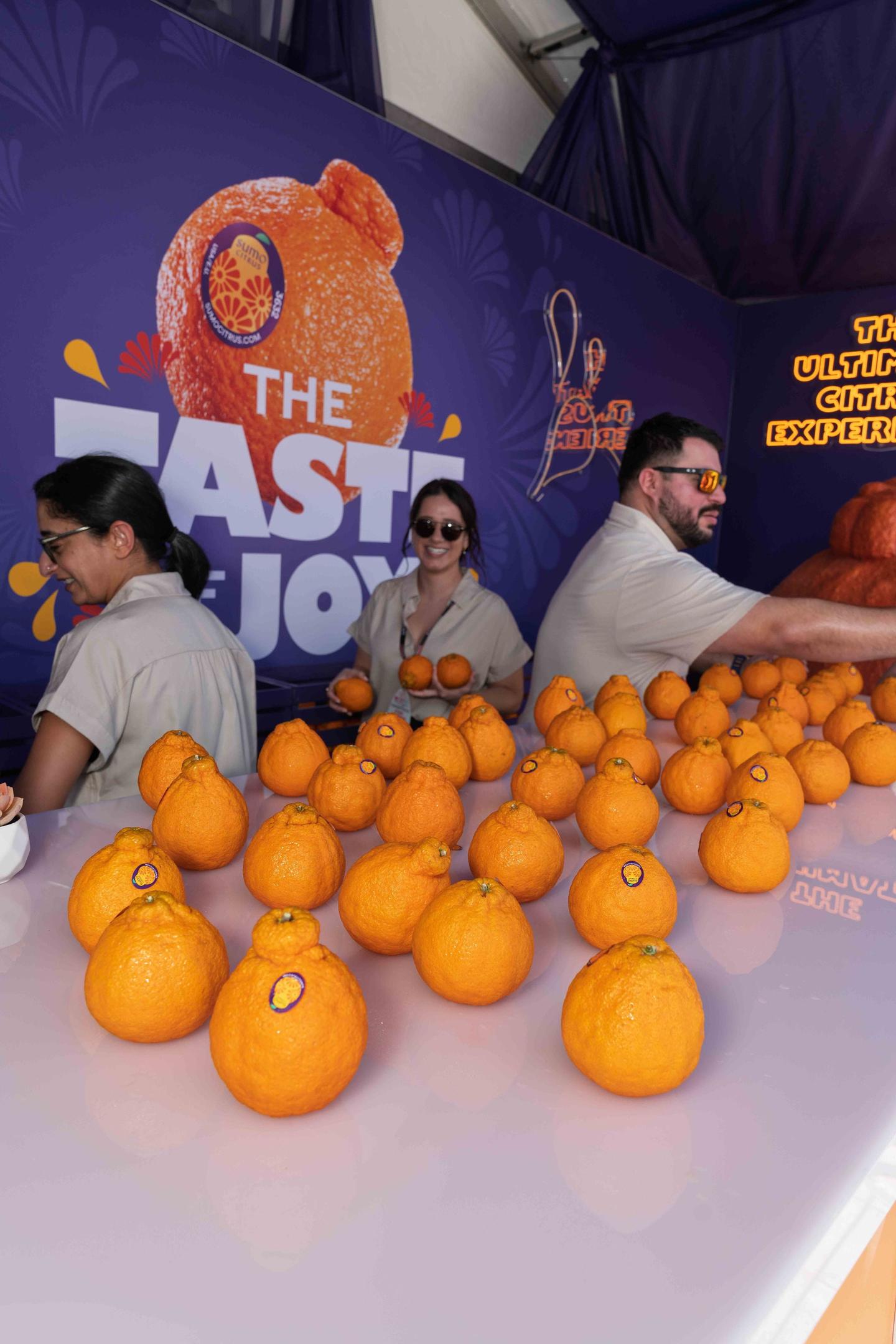 Sumo Citrus product table